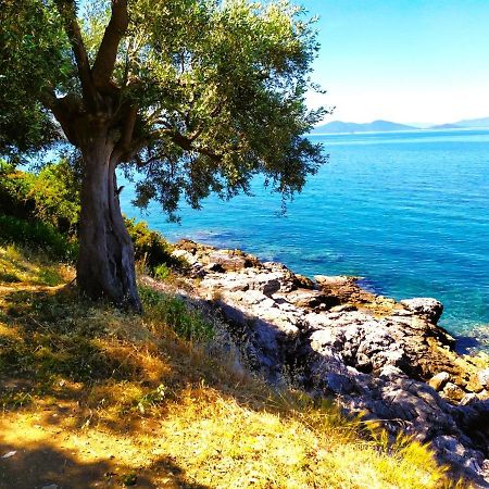 Villa Leonidas Greecefiloxenia เลโฟกาสโตร ภายนอก รูปภาพ