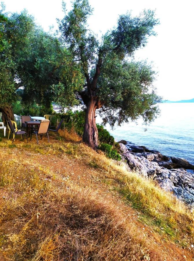 Villa Leonidas Greecefiloxenia เลโฟกาสโตร ภายนอก รูปภาพ