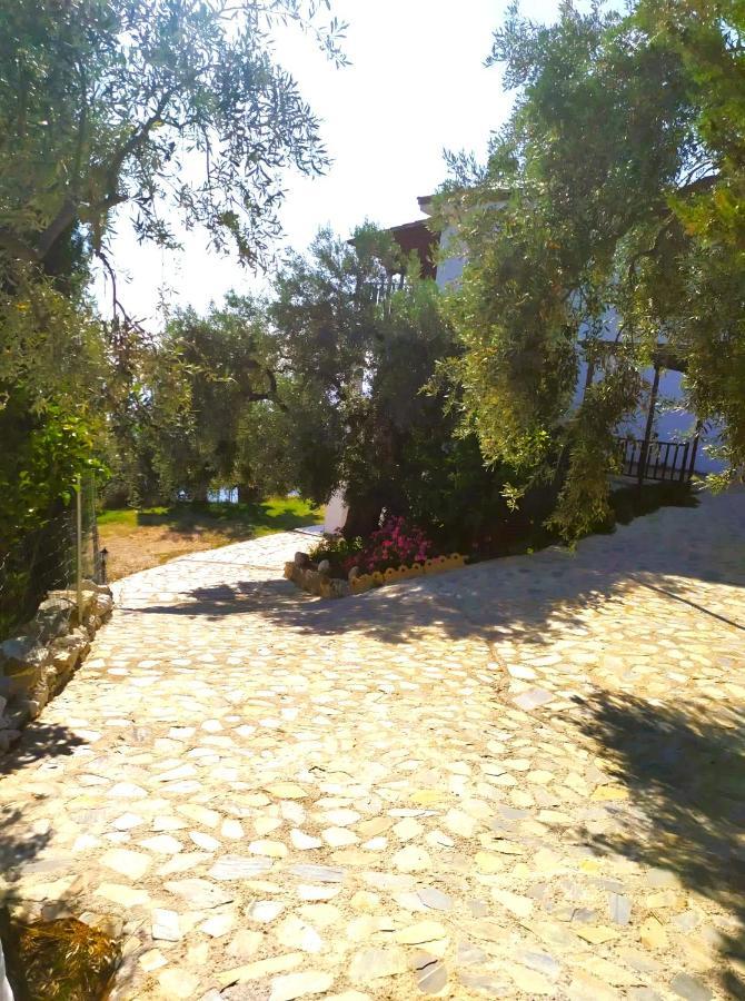 Villa Leonidas Greecefiloxenia เลโฟกาสโตร ภายนอก รูปภาพ