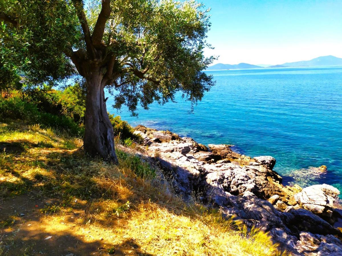 Villa Leonidas Greecefiloxenia เลโฟกาสโตร ภายนอก รูปภาพ