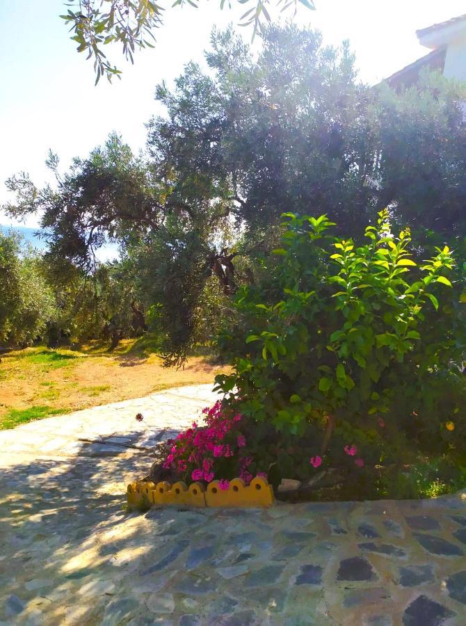 Villa Leonidas Greecefiloxenia เลโฟกาสโตร ภายนอก รูปภาพ